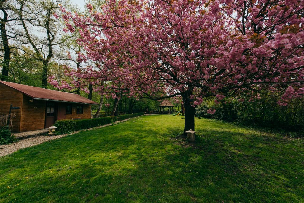 Shubu Zen Vendeghaz Hotel Szilvasvarad Exterior photo